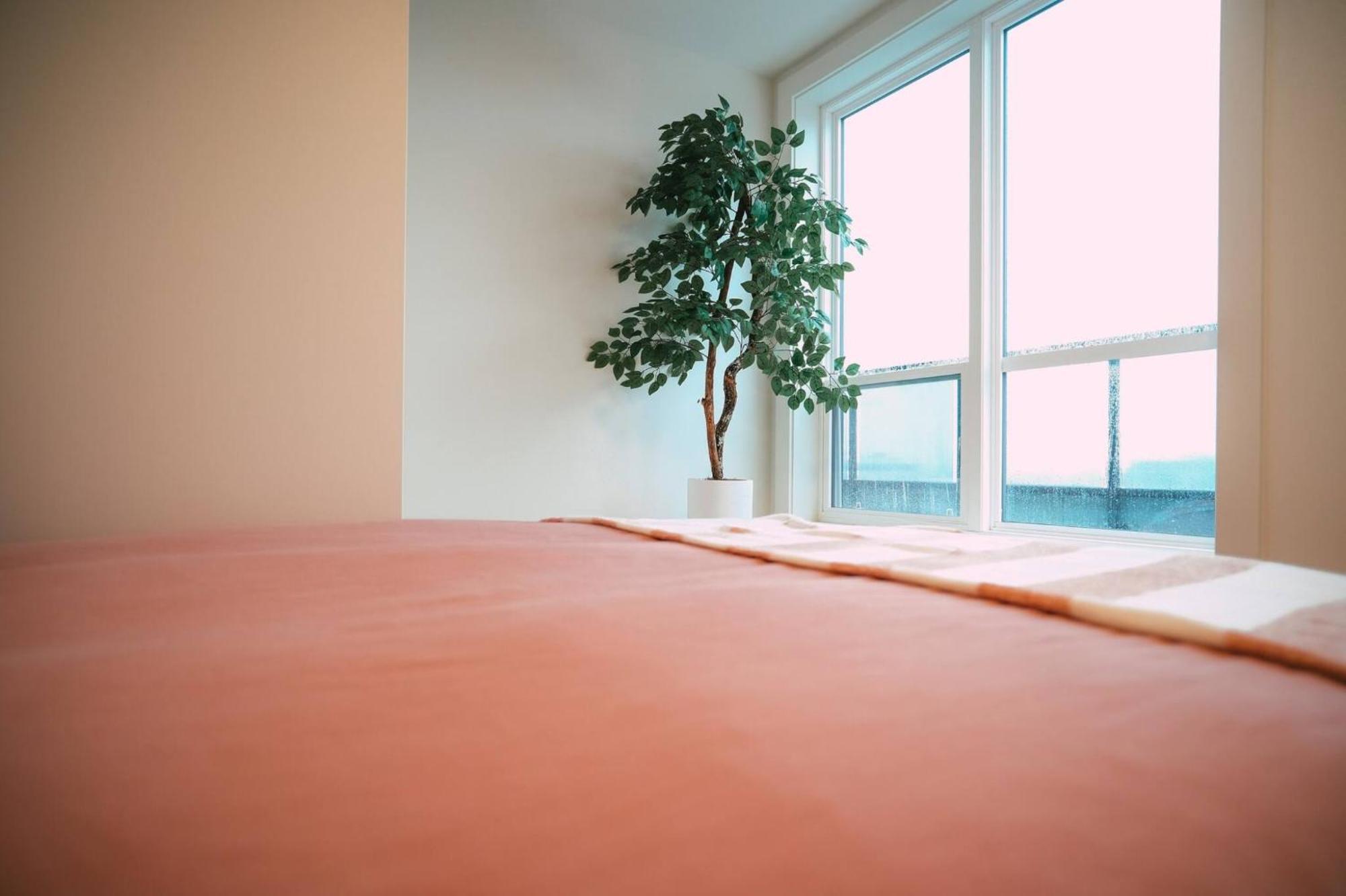 Chic Cozy Retreat - 2Br - Stunning North End Views Apartment Halifax Exterior photo